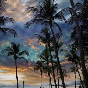 Meet your Posher, Dawna